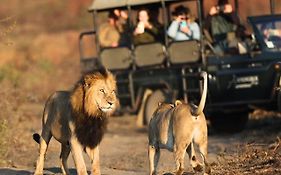 The Springbok Lodge