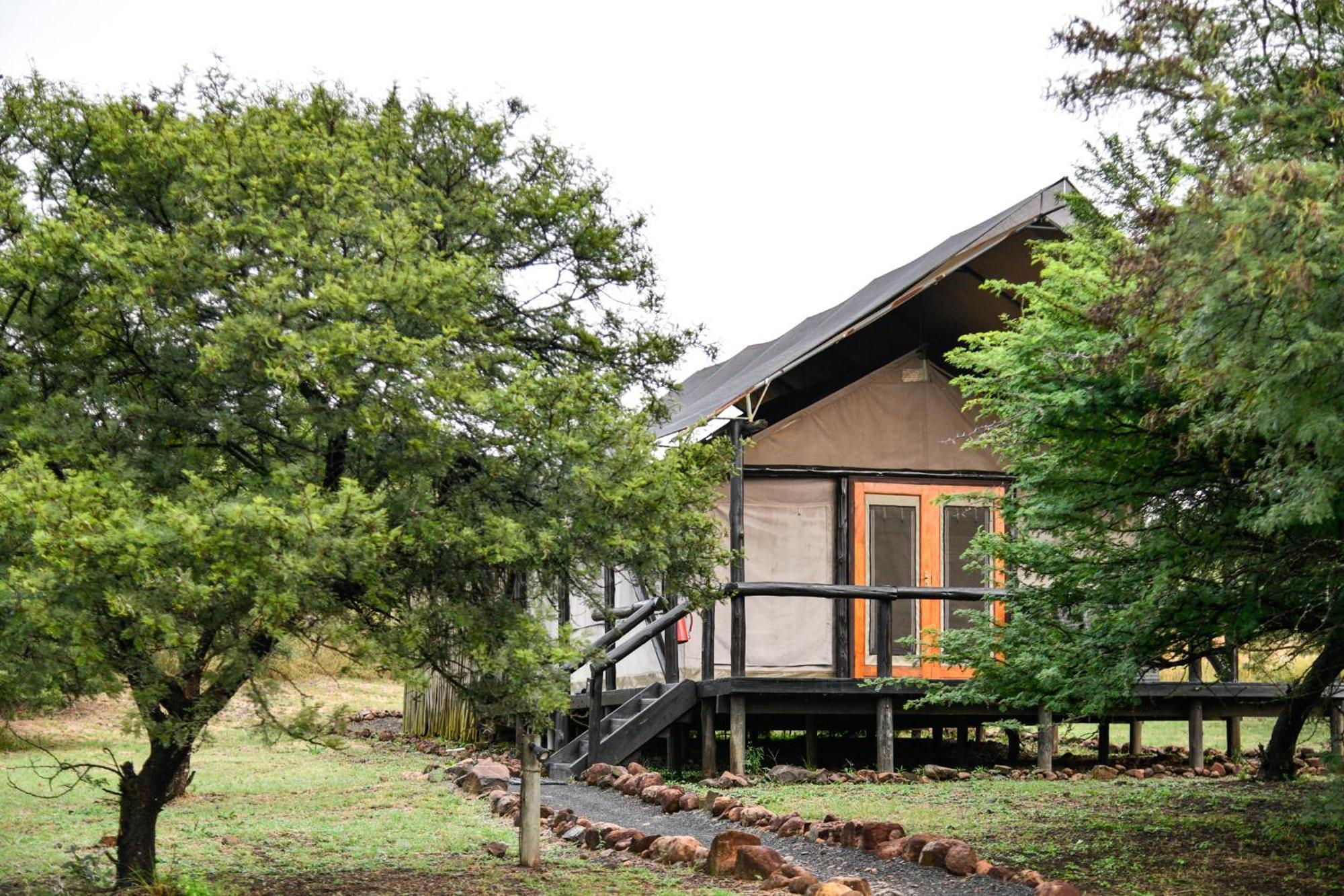 The Springbok Lodge Ladysmith Exterior photo